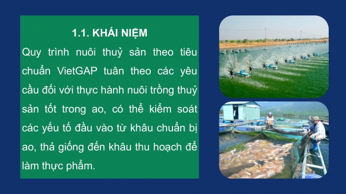 Giáo án điện tử Công nghệ 12 Lâm nghiệp Thủy sản Cánh diều Bài 19: Quy trình nuôi thủy sản theo tiêu chuẩn VietGAP