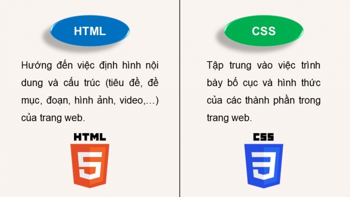 Giáo án điện tử Khoa học máy tính 12 chân trời Bài F7: Giới thiệu CSS