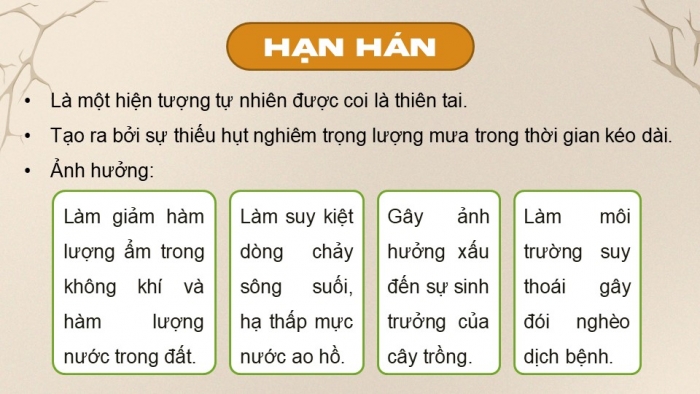 Giáo án điện tử Địa lí 9 chân trời Bài 16: Thực hành Phân tích ảnh hướng của hạn hán và sa mạc hóa đối với phát triển kinh tế - xã hội ở vùng khô hạn Ninh Thuận - Bình Thuận