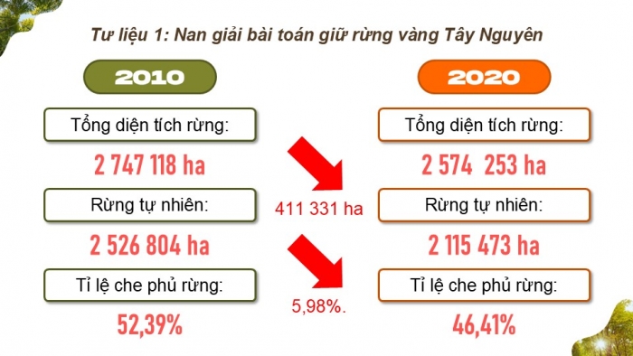 Giáo án điện tử Địa lí 9 chân trời Bài 18: Thực hành Vấn đề môi trường trong phát triển kinh tế - xã hội ở Tây Nguyên