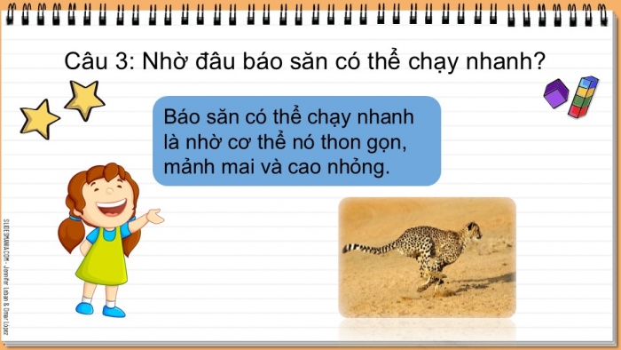 Giáo án điện tử Tiếng Việt 2 chân trời Bài 2: Đọc Bạn có biết?, Nghe – viết Cây nhút nhát, Phân biệt eo/oe, ch/tr, an/ang