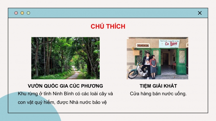 Giáo án điện tử Tiếng Việt 2 cánh diều Bài 21: Đọc sách báo viết về cây cối