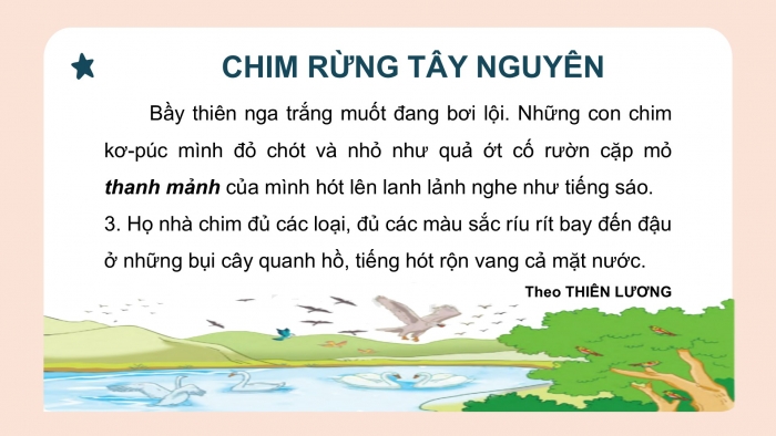 Giáo án điện tử Tiếng Việt 2 cánh diều Bài 23: Chim rừng Tây Nguyên