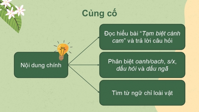 Giáo án điện tử Tiếng Việt 2 kết nối Bài 16: Viết đoạn văn kể về việc làm để bảo vệ môi trường, Đọc mở rộng