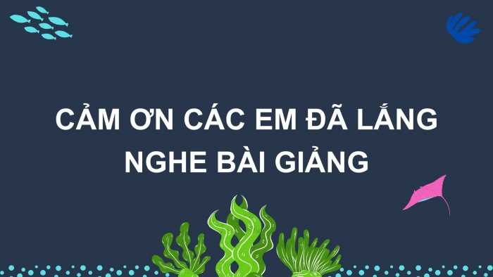 Giáo án điện tử Tiếng Việt 2 kết nối Bài 22: Viết lời cảm ơn các chú bộ đội hải quân, Đọc mở rộng