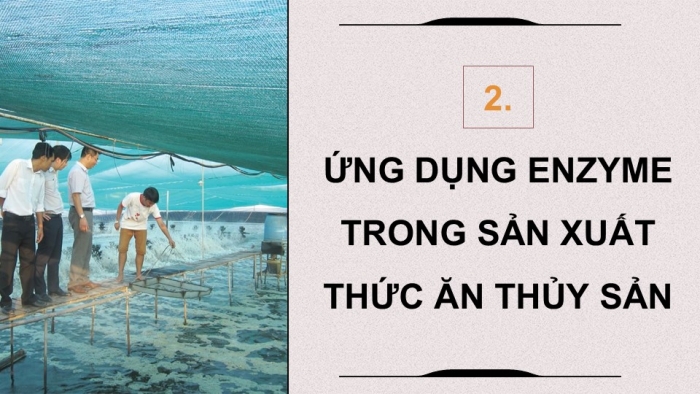 Giáo án điện tử chuyên đề Công nghệ 12 Lâm nghiệp Thuỷ sản Cánh diều Bài 6: Ứng dụng công nghệ sinh học trong sản xuất thức ăn thuỷ sản