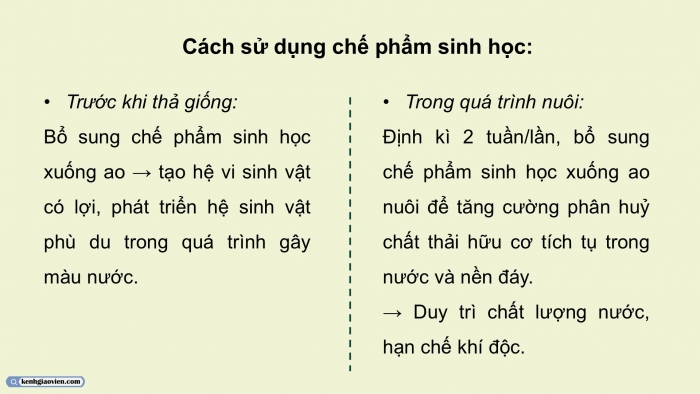 Giáo án điện tử chuyên đề Công nghệ 12 Lâm nghiệp Thuỷ sản Cánh diều Bài 7: Ứng dụng công nghệ sinh học xử lí môi trường nuôi thuỷ sản