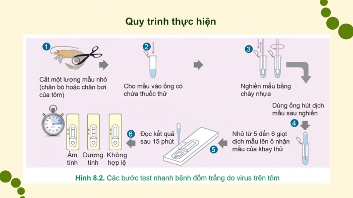 Giáo án điện tử chuyên đề Công nghệ 12 Lâm nghiệp Thuỷ sản Cánh diều Bài 8: Ứng dụng công nghệ sinh học trong chẩn đoán bệnh và sản xuất vaccine phòng bệnh thuỷ sản