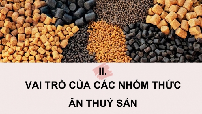 Giáo án điện tử Công nghệ 12 Lâm nghiệp - Thủy sản Kết nối Bài 16: Thức ăn thủy sản