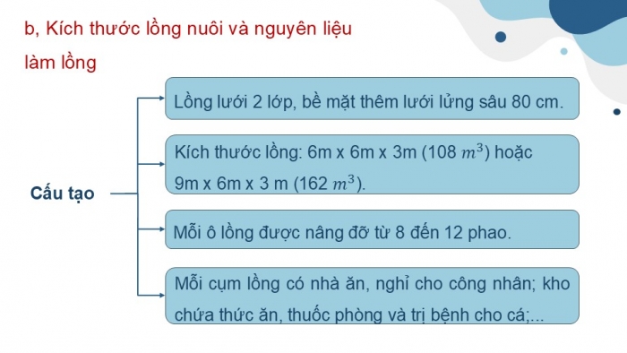 Giáo án điện tử Công nghệ 12 Lâm nghiệp - Thủy sản Kết nối Bài 19: Công nghệ nuôi một số loài thủy sản phổ biến ở Việt Nam