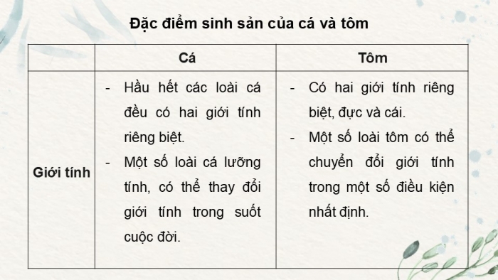 Giáo án điện tử Công nghệ 12 Lâm nghiệp - Thủy sản Kết nối Bài ôn tập chương VI