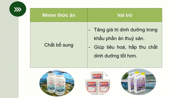 Giáo án điện tử Công nghệ 12 Lâm nghiệp - Thủy sản Kết nối Bài ôn tập chương VII