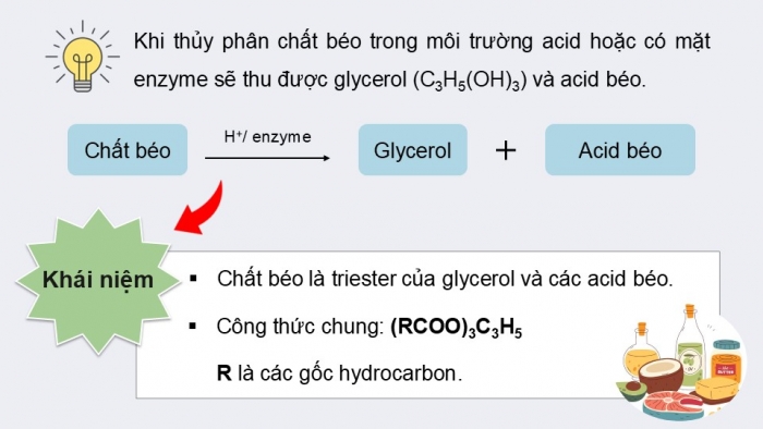 Giáo án điện tử KHTN 9 chân trời - Phân môn Hoá học Bài 26: Lipid và chất béo