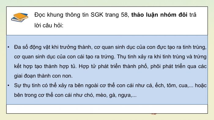 Giáo án điện tử Khoa học 5 kết nối Bài 15: Sinh sản của động vật