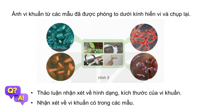 Giáo án điện tử Khoa học 5 kết nối Bài 18: Vi khuẩn xung quanh chúng ta