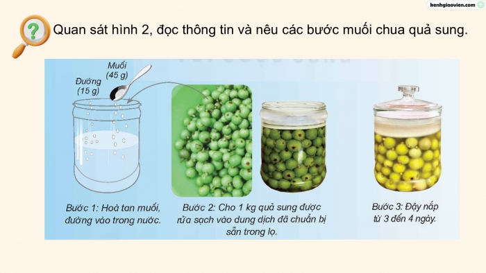 Giáo án điện tử Khoa học 5 kết nối Bài 19: Vi khuẩn có ích trong chế biến thực phẩm