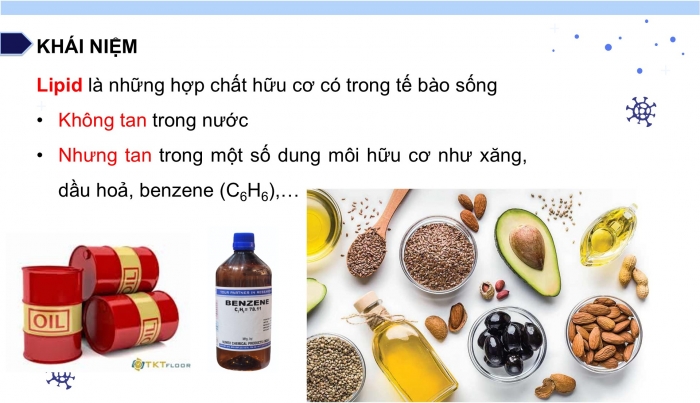 Giáo án điện tử KHTN 9 cánh diều - Phân môn Hoá học Bài 25: Lipid và chất béo