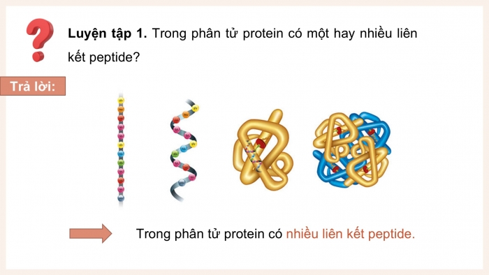 Giáo án điện tử KHTN 9 cánh diều - Phân môn Hoá học Bài 28: Protein