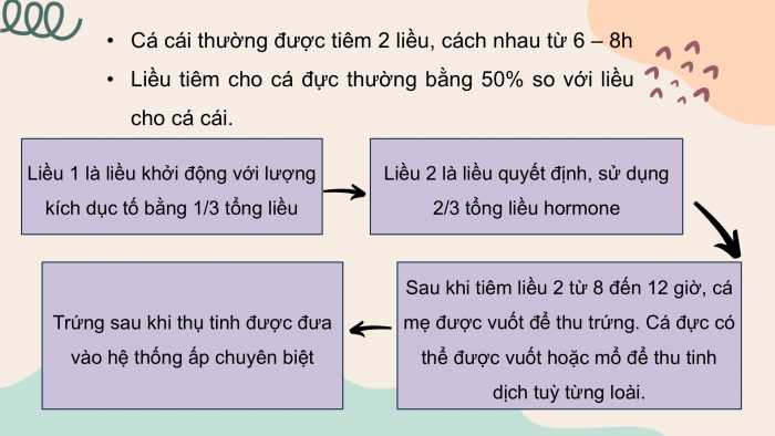 Giáo án điện tử chuyên đề Công nghệ 12 Lâm nghiệp Thuỷ sản Cánh diều Bài 5: Ứng dụng công nghệ sinh học trong sinh sản và chọn, tạo giống thuỷ sản