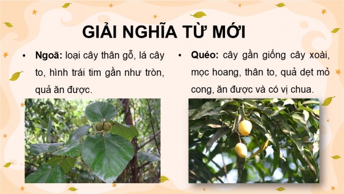 Giáo án điện tử Tiếng Việt 5 chân trời Bài 4: Rừng xuân