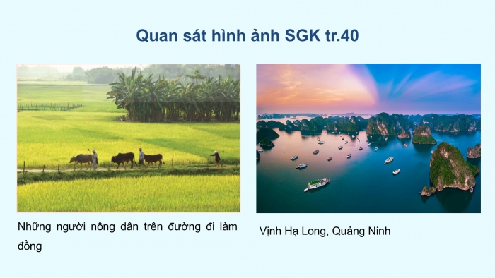 Giáo án điện tử Mĩ thuật 5 kết nối Chủ đề 6: Cảnh sắc quê hương