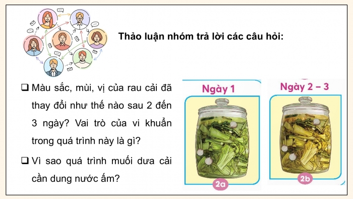 Giáo án điện tử Khoa học 5 chân trời Bài 19: Vi khuẩn có ích trong chế biến thực phẩm