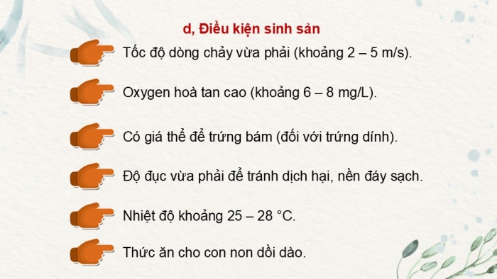 Giáo án điện tử Công nghệ 12 Lâm nghiệp Thủy sản Cánh diều Bài 15: Đặc điểm sinh sản và kĩ thuật ương cá, tôm giống