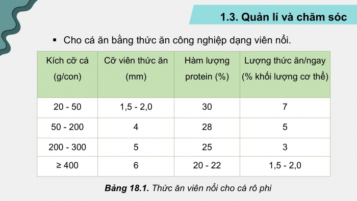 Giáo án điện tử Công nghệ 12 Lâm nghiệp Thủy sản Cánh diều Bài 18: Kĩ thuật nuôi một số loài thủy sản phổ biến