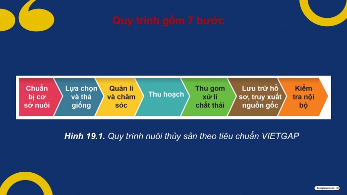 Giáo án điện tử Công nghệ 12 Lâm nghiệp Thủy sản Cánh diều Bài 19: Quy trình nuôi thủy sản theo tiêu chuẩn VietGAP