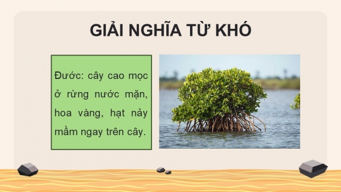 Giáo án điện tử Tiếng Việt 5 kết nối Bài 16: Về thăm Đất Mũi