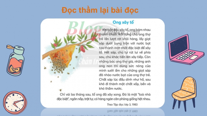 Giáo án điện tử Tiếng Việt 2 chân trời Bài 2: Đọc Ong xây tổ, Nghe – viết Ong xây tổ, Phân biệt ua/uơ, r/d/gi, ên/ênh