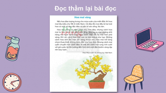 Giáo án điện tử Tiếng Việt 2 chân trời Bài 4: Đọc Hoa mai vàng, Nghe – viết Hoa mai vàng, Phân biệt ao/oa, ch/tr, ich/it