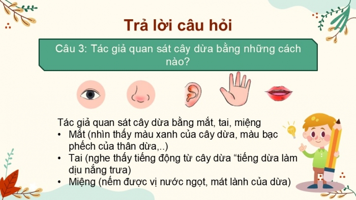 Giáo án điện tử Tiếng Việt 2 chân trời Bài 3: Đọc Cây dừa