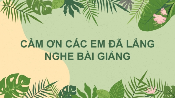 Giáo án điện tử Tiếng Việt 2 kết nối Bài 16: Viết đoạn văn kể về việc làm để bảo vệ môi trường, Đọc mở rộng