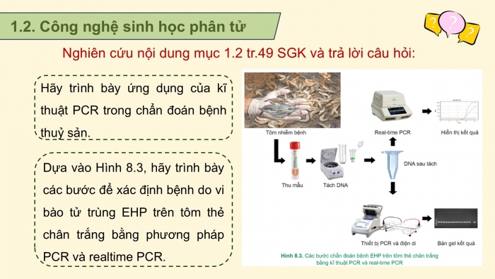 Giáo án điện tử chuyên đề Công nghệ 12 Lâm nghiệp Thuỷ sản Cánh diều Bài 8: Ứng dụng công nghệ sinh học trong chẩn đoán bệnh và sản xuất vaccine phòng bệnh thuỷ sản