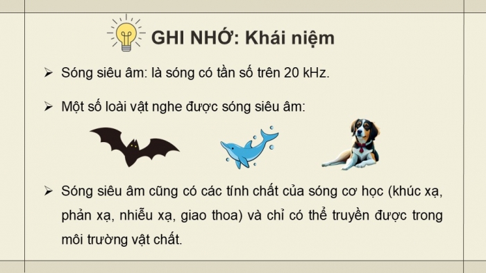 Giáo án điện tử chuyên đề Vật lí 12 chân trời Bài 4: Chẩn đoán bằng siêu âm