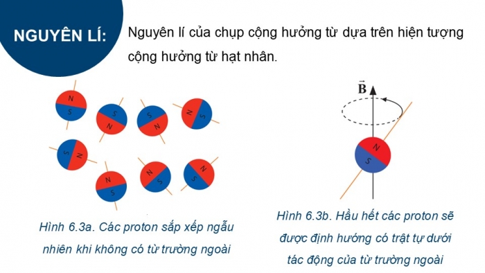 Giáo án điện tử chuyên đề Vật lí 12 chân trời Bài 6: Chụp ảnh cộng hưởng từ (MRI)