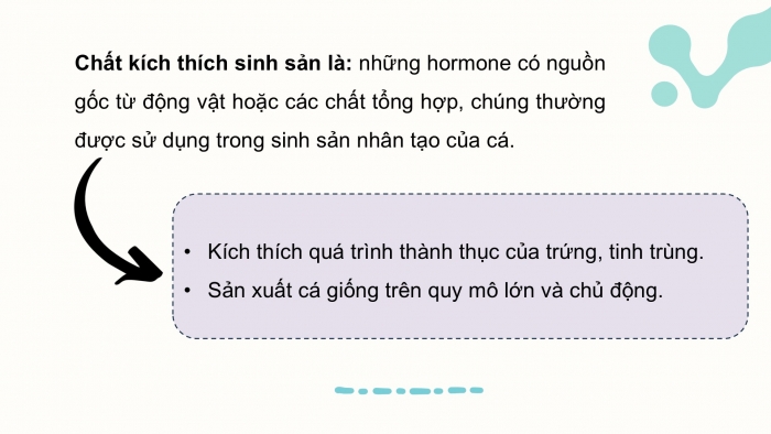 Giáo án điện tử Công nghệ 12 Lâm nghiệp - Thủy sản Kết nối Bài 15: Ứng dụng công nghệ sinh học trong chọn và nhân giống thủy sản