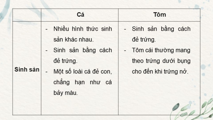 Giáo án điện tử Công nghệ 12 Lâm nghiệp - Thủy sản Kết nối Bài ôn tập chương VI