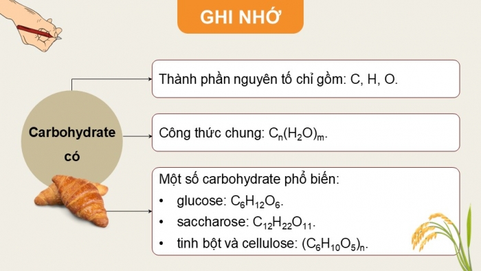 Giáo án điện tử KHTN 9 chân trời - Phân môn Hoá học Bài 27: Glucose và saccharose