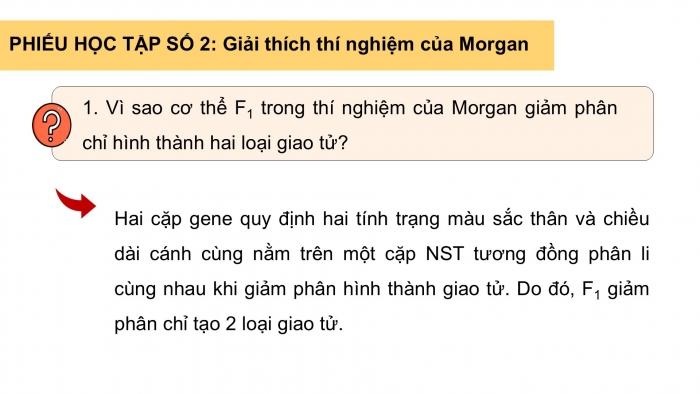 Giáo án điện tử KHTN 9 kết nối - Phân môn Sinh học Bài 45: Di truyền liên kết