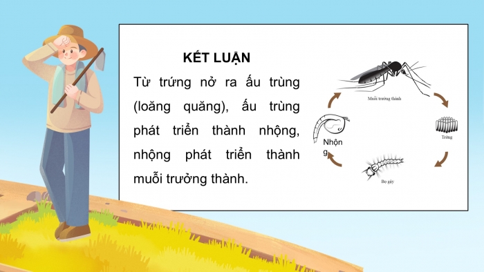 Giáo án điện tử Khoa học 5 kết nối Bài 16: Vòng đời và sự phát triển của động vật