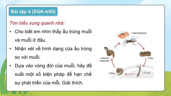 Giáo án điện tử Khoa học 5 kết nối Bài 17: Ôn tập chủ đề Thực vật và động vật