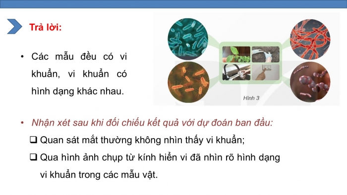 Giáo án điện tử Khoa học 5 kết nối Bài 18: Vi khuẩn xung quanh chúng ta