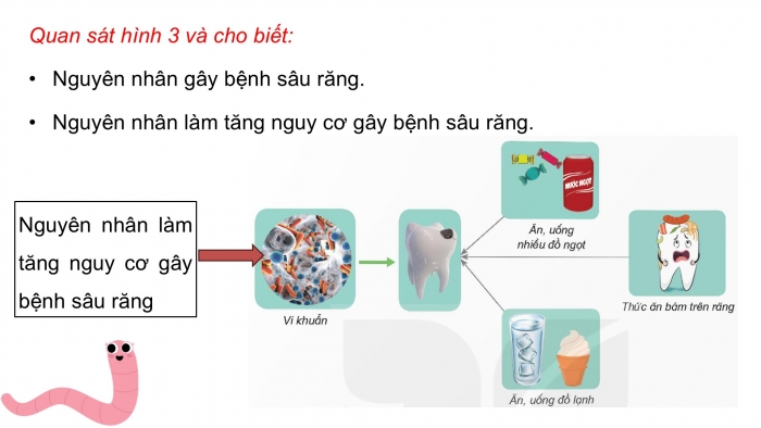 Giáo án điện tử Khoa học 5 kết nối Bài 20: Vi khuẩn gây bệnh ở người và cách phòng tránh