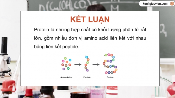 Giáo án điện tử KHTN 9 cánh diều - Phân môn Hoá học Bài 28: Protein