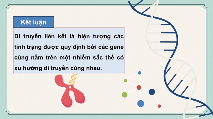 Giáo án điện tử KHTN 9 cánh diều - Phân môn Sinh học Bài 39: Di truyền liên kết và cơ chế xác định giới tính