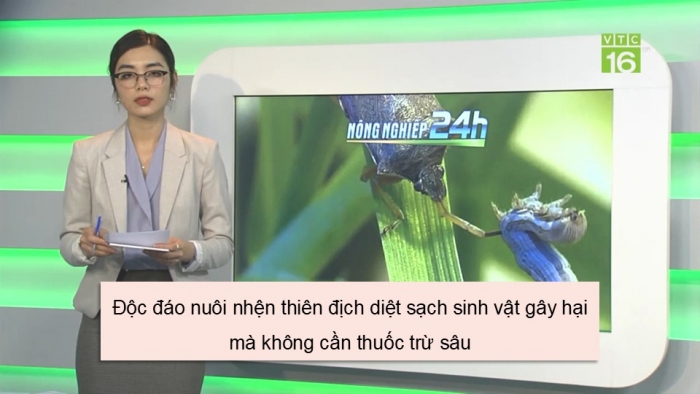 Giáo án điện tử chuyên đề Sinh học 12 cánh diều Bài 5: Khái niệm và vai trò của kiểm soát sinh học