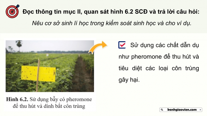 Giáo án điện tử chuyên đề Sinh học 12 cánh diều Bài 6: Cơ sở của kiểm soát sinh học