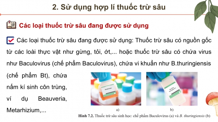 Giáo án điện tử chuyên đề Sinh học 12 cánh diều Bài 7: Biện pháp kiểm soát sinh học